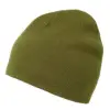Helly Hansen Outline Reversible Beanie - Beluga/Green resmi