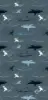 Sharks Bandana resmi